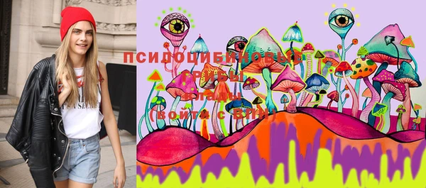 таблы Алексеевка