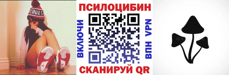 продажа наркотиков  Большой Камень  Псилоцибиновые грибы GOLDEN TEACHER 