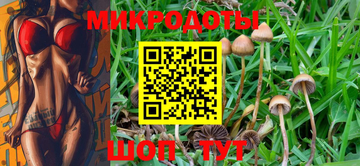Псилоцибиновые грибы мухоморы  Вход с VPN  Большой Камень 
