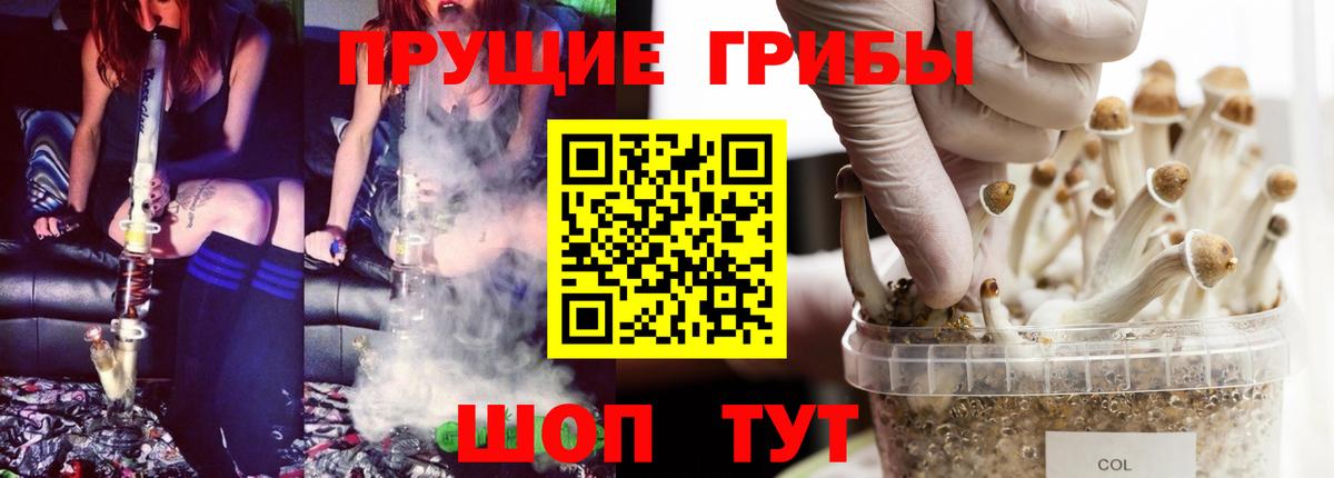 Псилоцибиновые грибы мухоморы Большой Камень